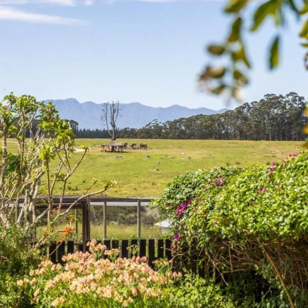 Elephant View Homestead，位于普利登堡湾的酒店