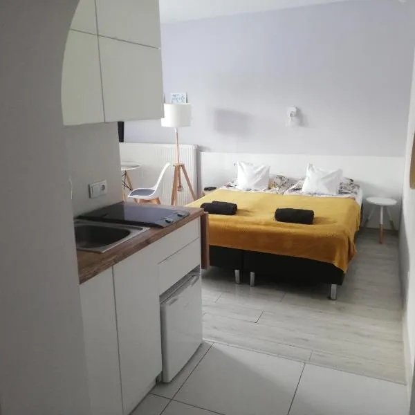 SKALNY apartamenty, pokoje，位于Podzamcze的酒店