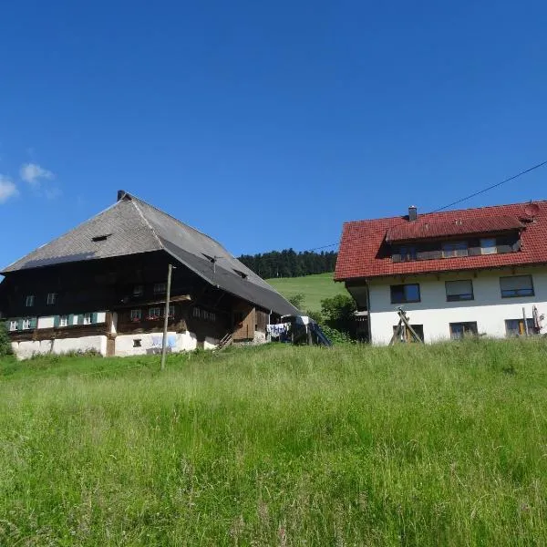 Hinterbauernhof Fewo Pferdeglück，位于施特根的酒店