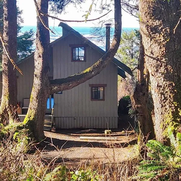 Rocks Cabin，位于科帕利斯比奇的酒店