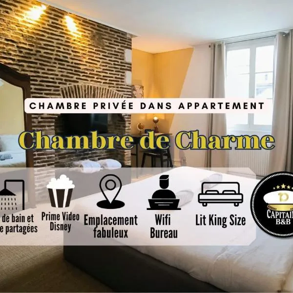 Chambre de Charme - Hypercentre - Confortable，位于特鲁瓦的酒店