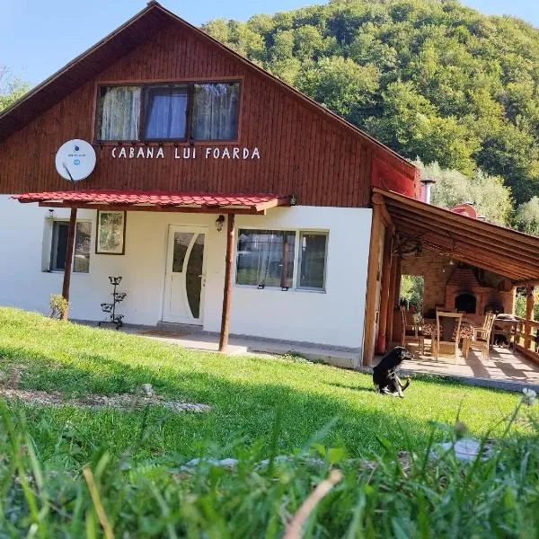 Cabana lui Foardă，位于Motru Sec的酒店