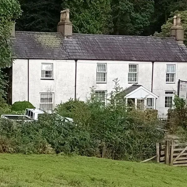 Red Dragon Cottages nr Mt Snowdon，位于贝德格勒特的酒店