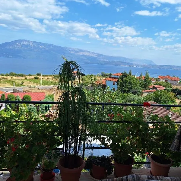 Taku Villa Wonderful view of Lake Ohrid，位于Udënisht的酒店