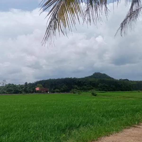 Sri Nawa Homestay，位于Pokok Sena的酒店