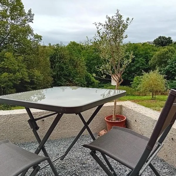 Le Forestier - 1 Pièce，位于布里夫拉盖亚尔德的酒店