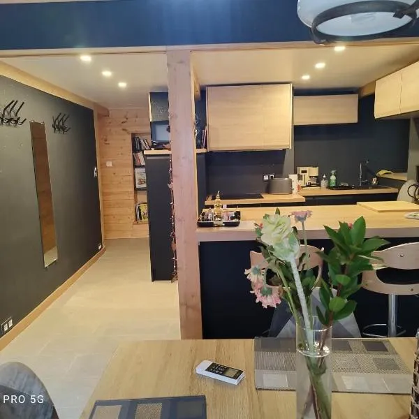 loftvesubie Studio，位于圣马丹韦叙比耶的酒店