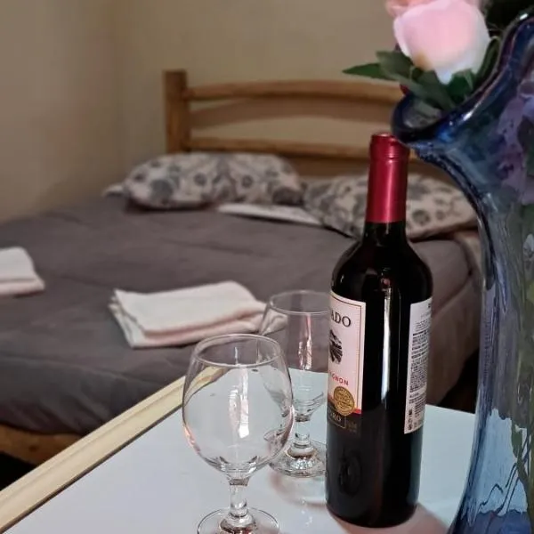 Suites Casa da sua mãe，位于维奥康德马奥的酒店