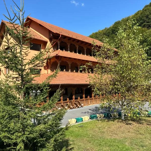 Pensiunea Casa Suciu，位于Cugir的酒店