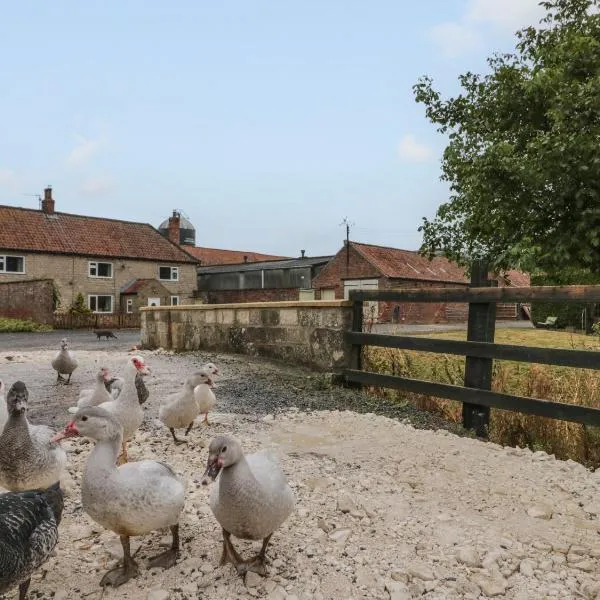 Bellmanear Farm Cottage，位于莫尔顿的酒店
