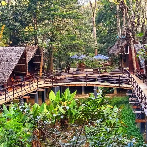 Longoza Ecolodge，位于Andasibe的酒店