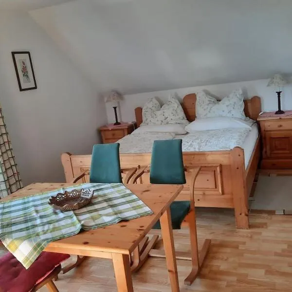 Ferienwohnung direkt am See 4，位于旧明斯特的酒店