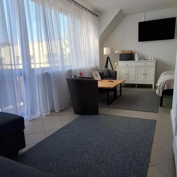 Mini apartamenty Lubelska，位于普瓦维的酒店