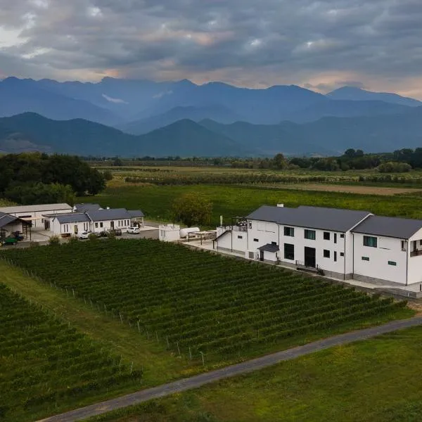 Eclipse Winery Boutique Hotel，位于Akhasheni的酒店