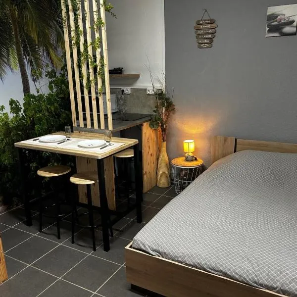 studio2，位于Vins-sur-Caramy的酒店