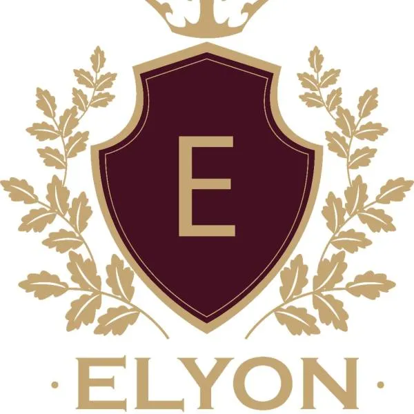 Hotel Elyon Dej，位于Bîrsău Mare的酒店