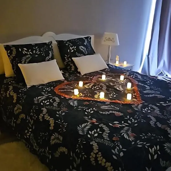 Le relais des clefs - AU CALME DU GATINAIS - Escapade à deux - Terrasse privée - WIFI - Offre romantique sur demande，位于Boutigny-sur-Essonnes的酒店