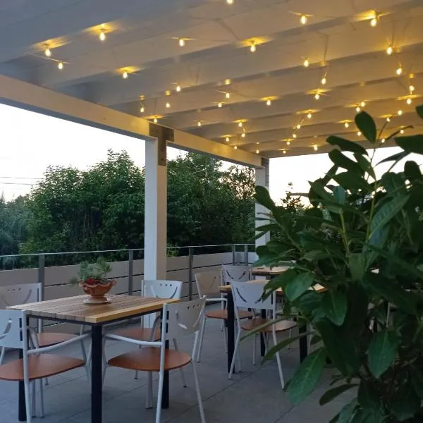 BeB Terrazza del Sole，位于比萨的酒店