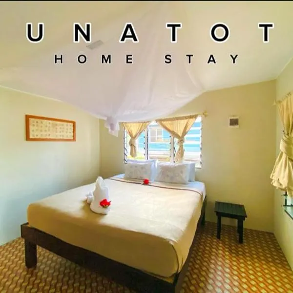 Max's Beachside homestay room 2，位于Nalauwaki的酒店