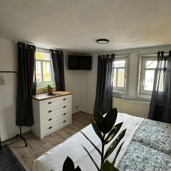 Landhaus an der Ottoburg，位于施利茨的酒店