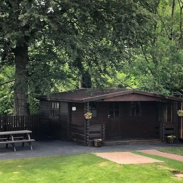 Self catering log cabin 5 mins from Kilkenny City Eircode R95 HH9W，位于基尔肯尼的酒店