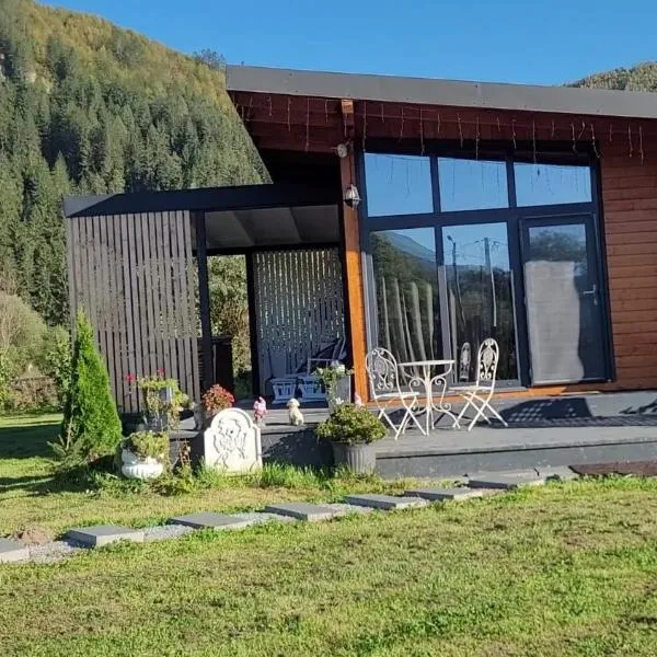 Casuta de sub stanca Apuseni,hot tub inclus，位于Bîrdeşti的酒店