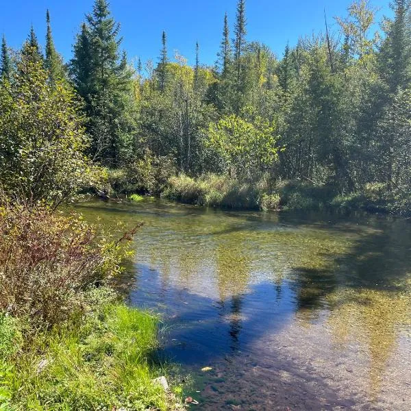 Sleeping Bear Riverside Cabins，位于Honor的酒店