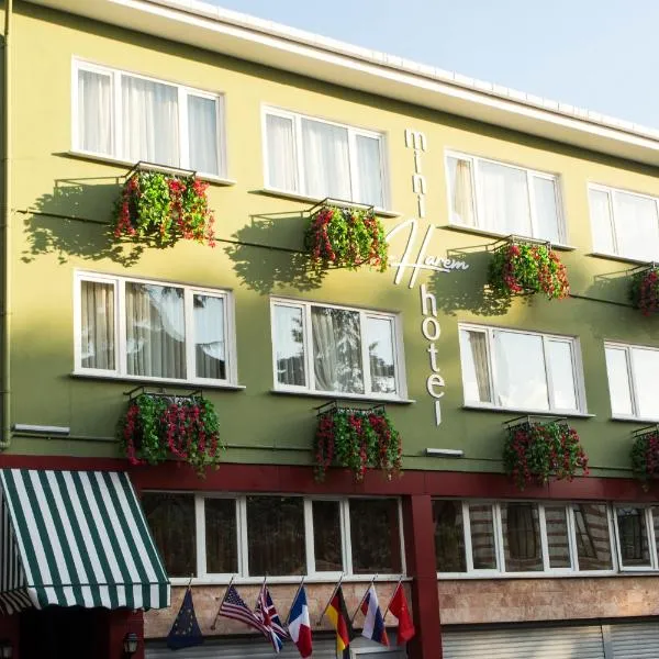 Mini Harem Hotel,位于伊斯坦布尔的酒店