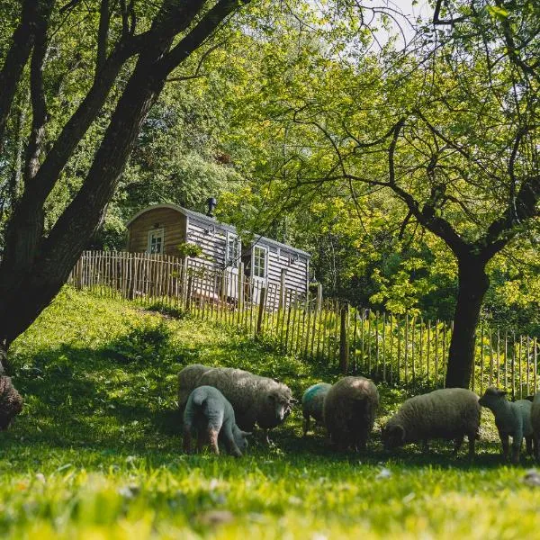 Somerset Shepherds Huts，位于约维尔的酒店