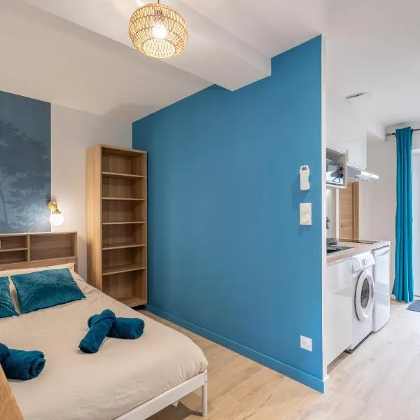 Charmant Studio bien équipé，位于Chaneins的酒店
