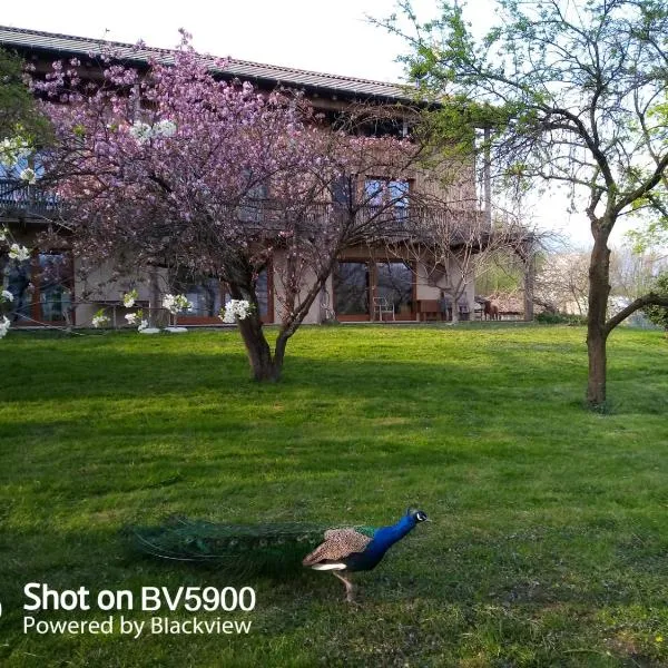 BioAgriturismo Vegan Campo di Cielo，位于Cesiomaggiore的酒店