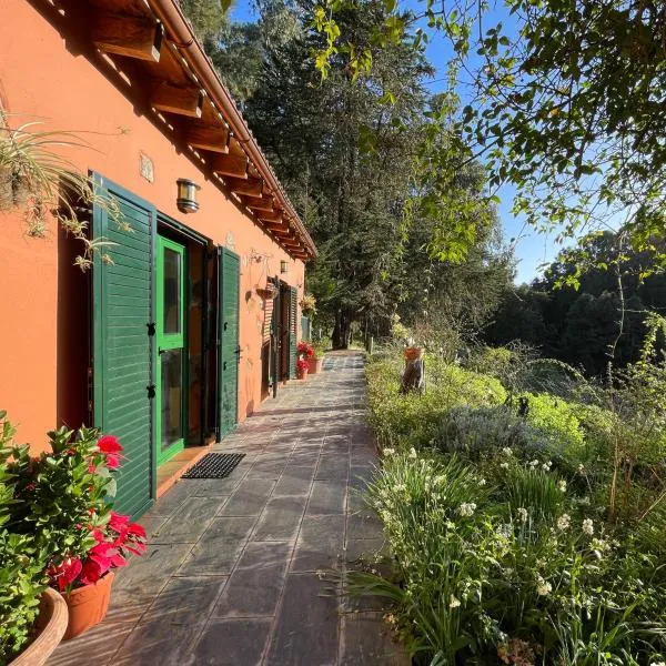 Finca El Lance Zumacal，位于Firgas的酒店
