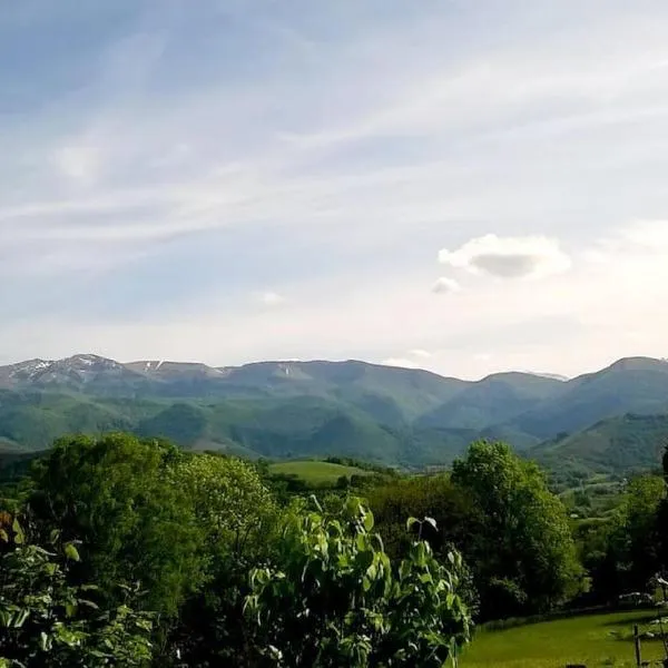 Gîte ETH ARREYEN avec piscine privée et magnifique vue sur Pyrénées，位于Tilhouse的酒店