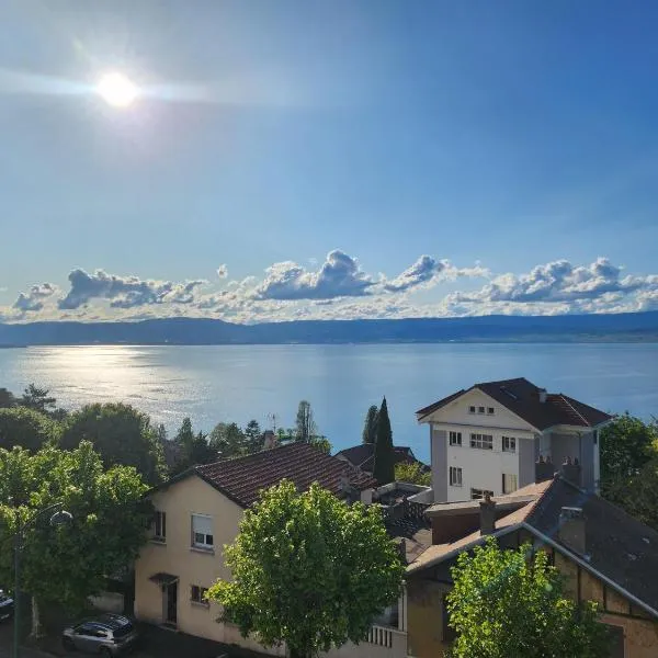 Hôtel Savoie Léman，位于托农莱班的酒店
