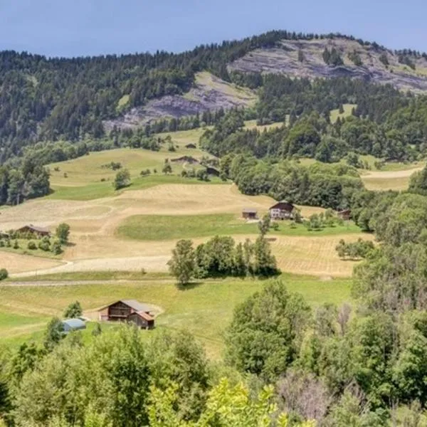 Chalets des Evettes- appartement vue montagne，位于弗吕梅的酒店