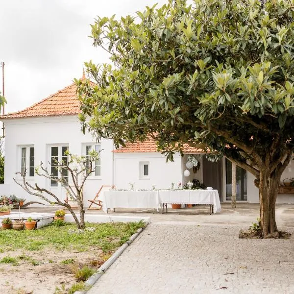 Casa do Camondo，位于Veiros的酒店