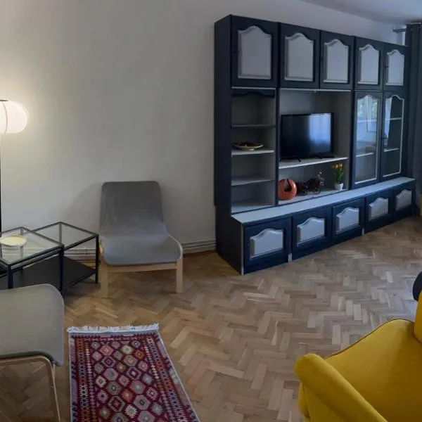 Apartament George&Ionela，位于Şimleu Silvaniei的酒店