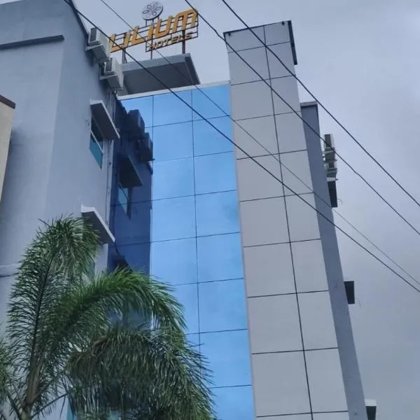 Lilium Hotels，位于Chakan的酒店