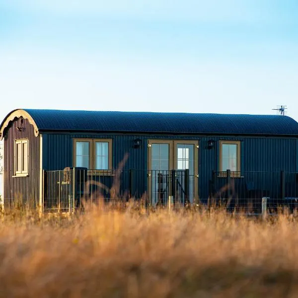 Head For The Hills Glamping - Shepherd's Hut，位于Llanfynydd的酒店