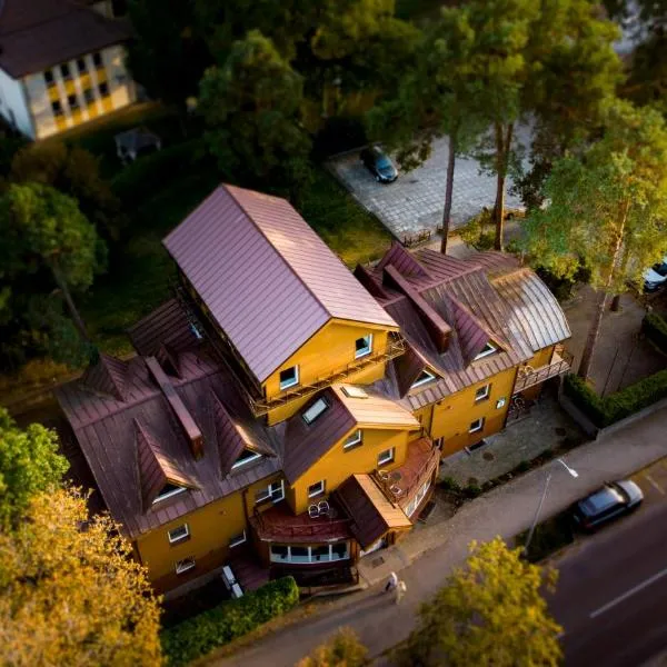 Hotel Vita，位于德鲁斯基宁凯的酒店