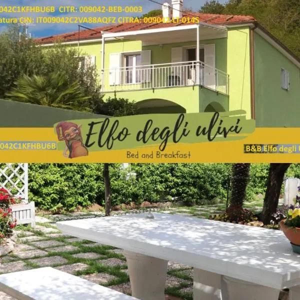 B&B Elfo degli Ulivi，位于诺利的酒店