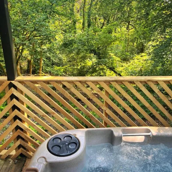 Goldcrest 3-Hot Tub-Woodland Lodges-Carmarthenshire-Tenby，位于卡马森的酒店