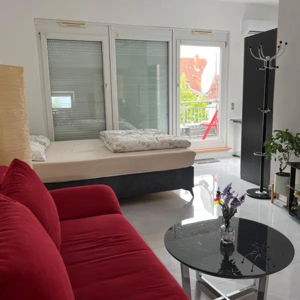 Delightful Studio with Balcony near Hockenheimring，位于霍根海姆的酒店