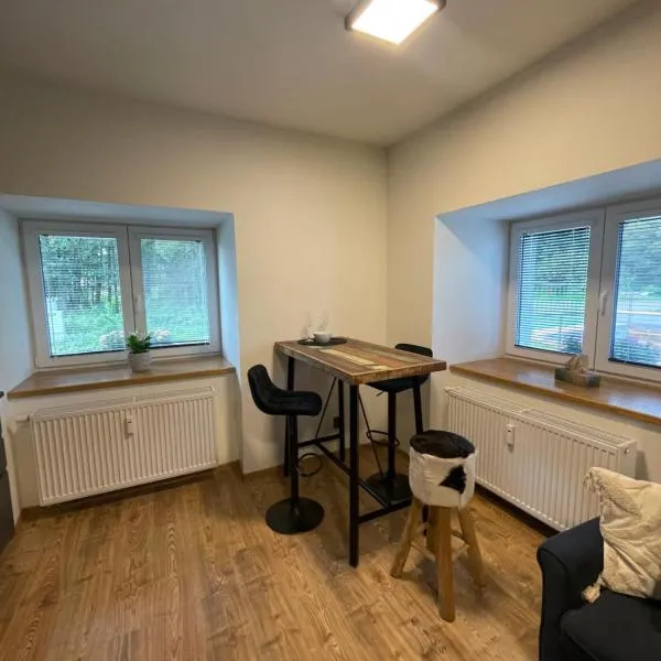 Apartment NAVI- Modern studio in Krkonoše foothills，位于豪斯庭的酒店