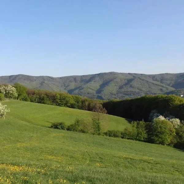 Appartement am Archehof Windbichl，位于Hochgschaid的酒店