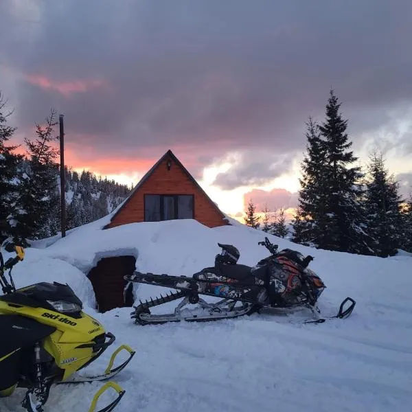 არწივის ბუდე eagle's nest，位于Goderdzi的酒店