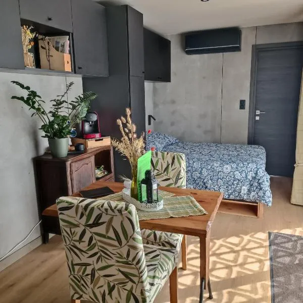 O Petit Jardin studio Cholet，位于绍莱的酒店