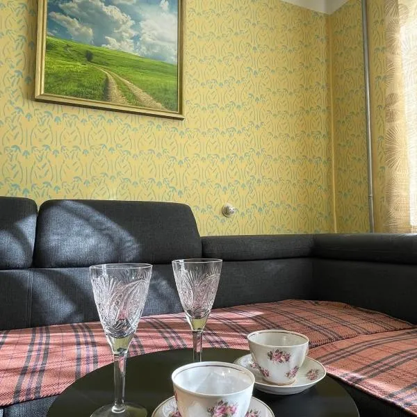 Cosy Khruschovka Style apartment，位于Rauna的酒店