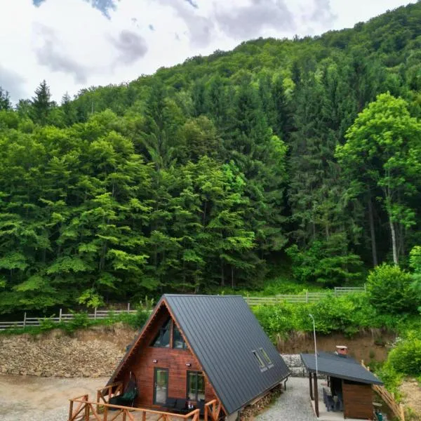 Wild Cabin，位于沃伊内亚萨的酒店