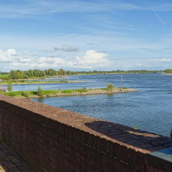 Ferienwohnung Little Dragon - Rheinblick，位于雷斯的酒店